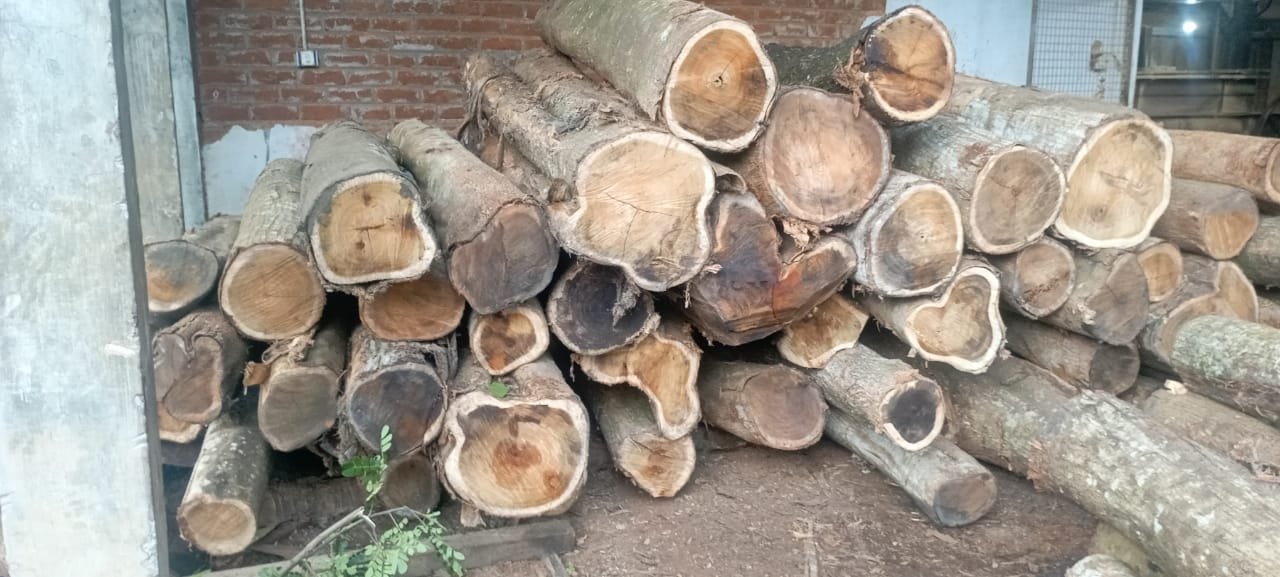 Manjiyam Wood Logs